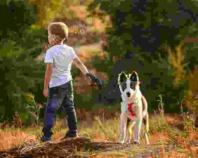 A Boy And His Dog Standing On A Hilltop Dod Takes Charge: The Adventures Of A Boy And His Dog In Victorian Scotland (The Dod 1)