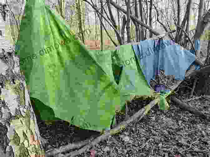 Abandoned Tent In The Wilderness The Man In The Tent: My Life Under Canvas Getting Started In Spain