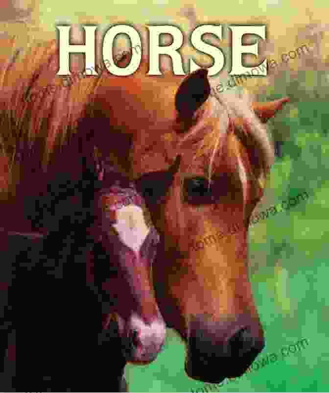 Cover Of The Book 'Horses: 21st Century Junior Library' Farm Animals: Horses (21st Century Junior Library: Farm Animals)