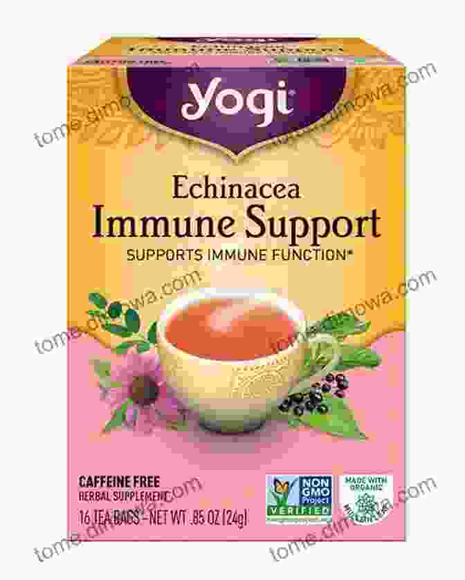 Echinacea Herb For Immune Support Herbal Supplements: Top 10 Herbal Supplements And Their Benefits