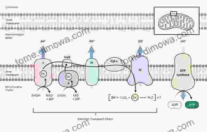 Electrons Flowing Through A Nanostructure, Illustrating The Principles Of Electron Transport In Mesoscopic Systems Mesoscopic Physics Of Electrons And Photons