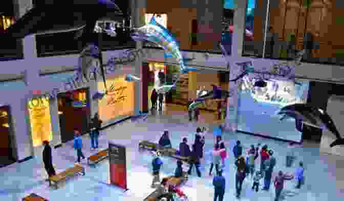 Houston Museum Of Natural Science McCalpin S Layover Guide To Houston Texas (McCalpin S Layover Guides 1)