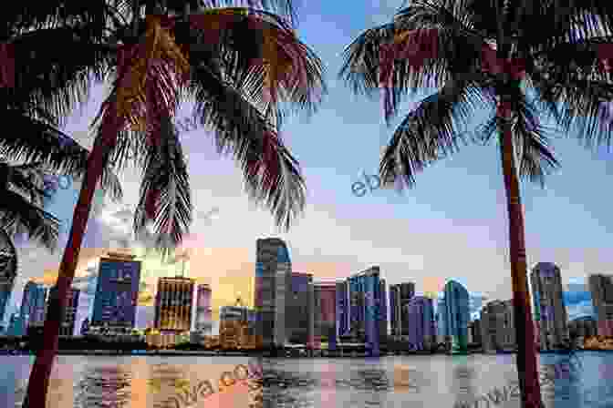 Miami Skyline At Sunset Unbelievable Pictures And Facts About Miami