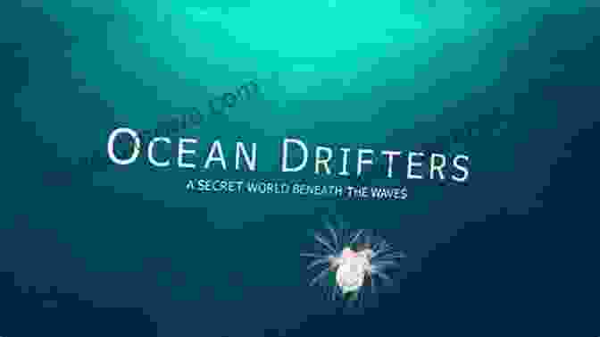 Ocean Drifters Book Cover Ocean Drifters A Secret World Beneath The Waves