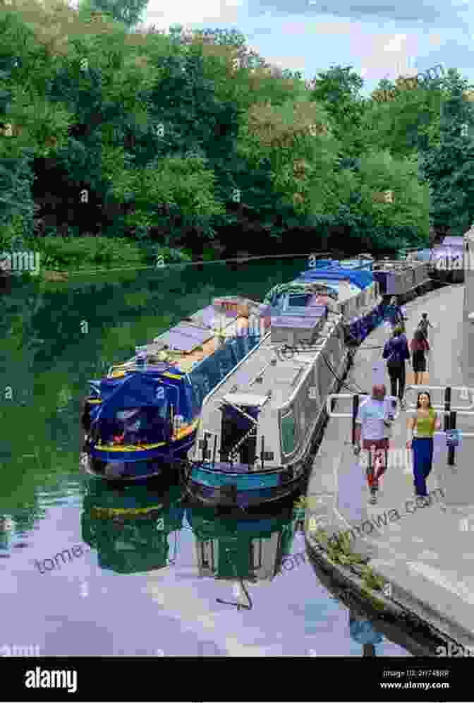 Tree Lined Canal Path, With Boats Moored Along The Bank The Plastic Butterfly: Meanderings On The Canal De La Garonne And Canal Du Midi