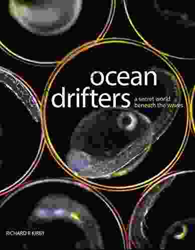 Ocean Drifters a secret world beneath the waves