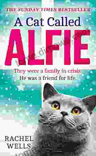 A Cat Called Alfie: The Perfect To Warm Your Heart This Christmas (Alfie 2)