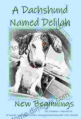 A Dachshund Named Delilah : New Beginnings