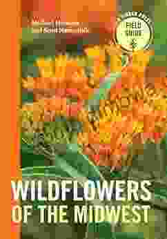 Wildflowers Of The Midwest (A Timber Press Field Guide)